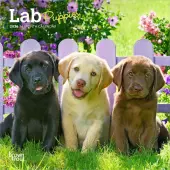 Lab Retriever Puppies 2026 Mini Wall Calendar