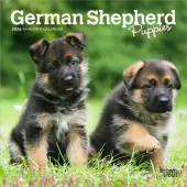 German Shepherd Puppies 2026 Mini Wall Calendar