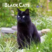 Black Cats 2026 Mini Wall Calendar