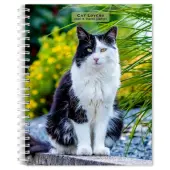 Cat Lovers 2026 Planner