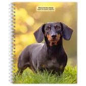Dachshunds 2026 Engagement Planner