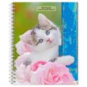 Kittens 2026 Engagement Planner