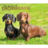 Dachshunds Deluxe 2026 Wall Calendar