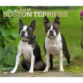 Boston Terriers Deluxe 2026 Wall Calendar