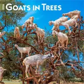 Goats in Trees 2026 Wall Calendar