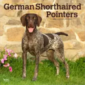 German Shorthaired Pointers 2026 Wall Calendar