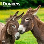 Donkeys 2026 Wall Calendar
