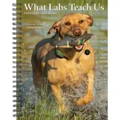 What Labs Teach Us 2026 Engagement Planner