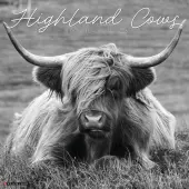 Highland Cows 2026 Wall Calendar