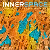 Innerspace 2026 Wall Calendar