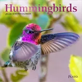 Hummingbirds Plato 2026 Mini Wall Calendar