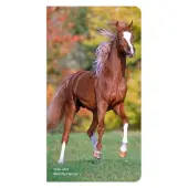 Horses Lovers 2026 2 Year Pocket Planner