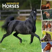 Horses 365 Days 2026 Wall Calendar