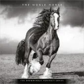 Horse Noble Portrait Series 2026 Wall Calendar