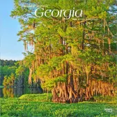 Georgia 2026 Wild and Scenic 2026 Wall Calendar