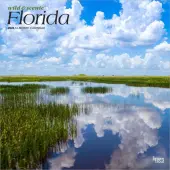 Florida 2026 Wild and Scenic 2026 Wall Calendar