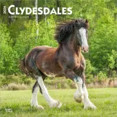 Clydesdales 2026 Wall Calendar