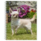 Chihuahuas 2026 Engagement Planner