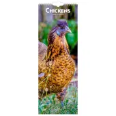 Chickens 2026 Slim Wall Calendar