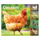 Chickens 2026 Desk Calendar