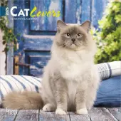 Cats 2026 Mini Wall Calendar