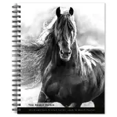 Noble Horses Portrait Series 2026 Wall Calendar
