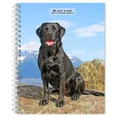 Black Labrador Retrievers 2026 Planner