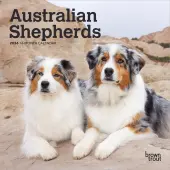 Australian Shepherd 2026 Mini Wall Calendar