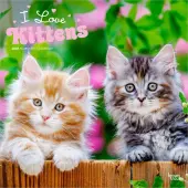 Kittens I Love 2026 Wall Calendar