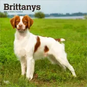 Brittanys 2026 Wall Calendar