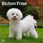Bichon Frise 2026 Wall Calendar