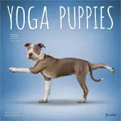 Yoga Puppies Plato 2026 Wall Calendar