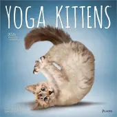 Yoga Kittens Plato 2026 Wall Calendar