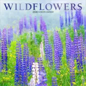 Wildflowers Plato 2026 Wall Calendar