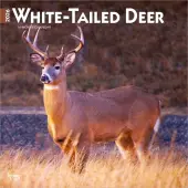 White Tailed Deer 2026 Wall Calendar
