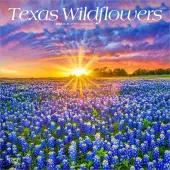 Texas Wildflowers 2026 Wall Calendar