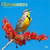 Songbirds Square 2026 Wall Calendar