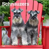 Schnauzers 2026 Wall Calendar