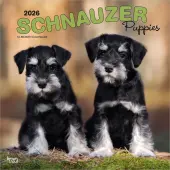 Schnauzer Puppies 2026 Wall Calendar