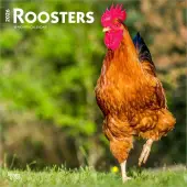 Roosters 2026 Wall Calendar