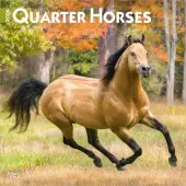 Horses Quarter 2026 Wall Calendar