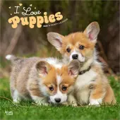 Puppies 2026 Wall Calendar