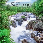 New York Wild and Scenic 2026 Wall Calendar