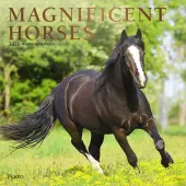 Magnificent Horses Plato 2026 Wall Calendar