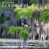 Louisiana 2026 Wild and Scenic 2026 Wall Calendar
