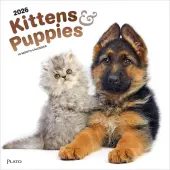 Kittens And Puppies Plato 2026 Wall Calendar