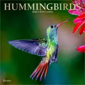 Hummingbirds Plato 2026 Wall Calendar