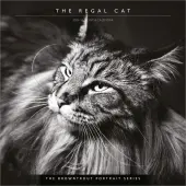 Cat Regal Portrait Series 2026 Wall Calendar