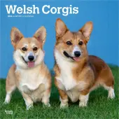 Welsh Corgis 2026 Wall Calendar