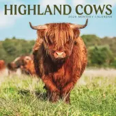 Highland Cows 2026 Wall Calendar